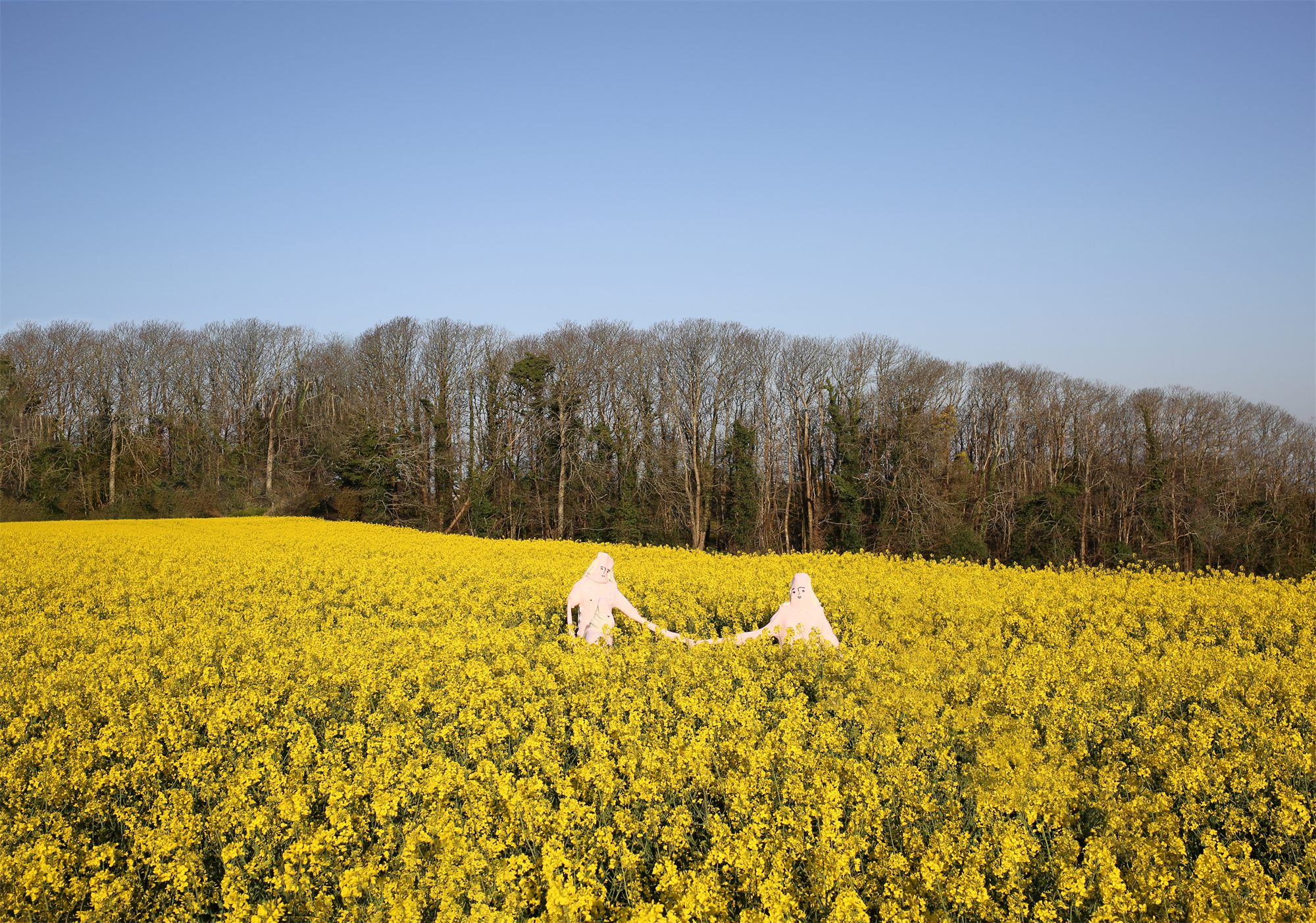 Éva Ostrowska, Until Everything Right Goes Wrong, two pink knitted figures holding hands in a yellow rapeseed field, photographic performance